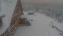 Parkoviště a hlavní vchod