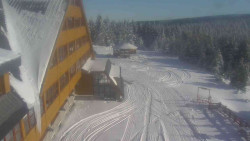 Parkoviště a hlavní vchod