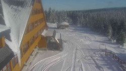 Parkoviště a hlavní vchod