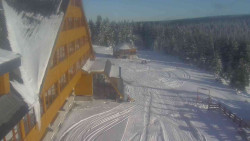 Parkoviště a hlavní vchod