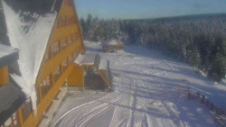 Parkoviště a hlavní vchod