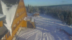 Parkoviště a hlavní vchod