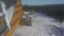 Parkoviště a hlavní vchod