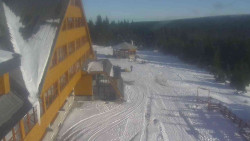 Parkoviště a hlavní vchod