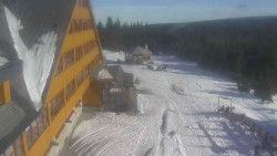 Parkoviště a hlavní vchod