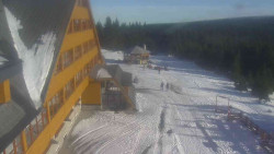 Parkoviště a hlavní vchod