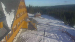 Parkoviště a hlavní vchod