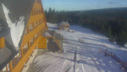 Parkoviště a hlavní vchod