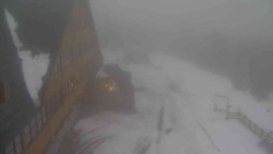 Parkoviště a hlavní vchod