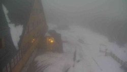 Parkoviště a hlavní vchod