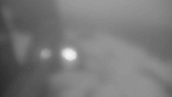 Parkoviště a hlavní vchod