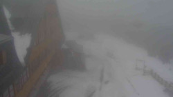 Parkoviště a hlavní vchod