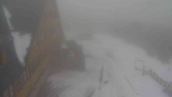 Parkoviště a hlavní vchod