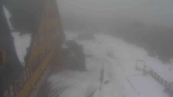 Parkoviště a hlavní vchod