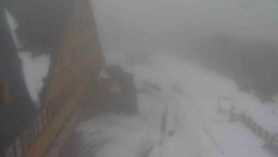 Parkoviště a hlavní vchod