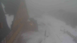 Parkoviště a hlavní vchod