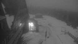 Parkoviště a hlavní vchod