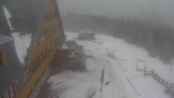 Parkoviště a hlavní vchod