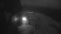 Parkoviště a hlavní vchod