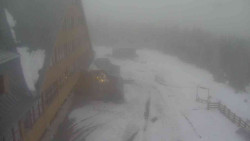 Parkoviště a hlavní vchod