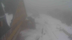 Parkoviště a hlavní vchod