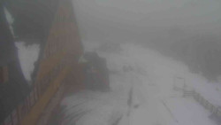 Parkoviště a hlavní vchod