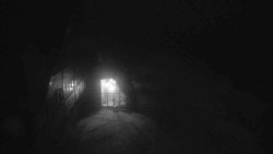 Parkoviště a hlavní vchod