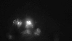 Parkoviště a hlavní vchod