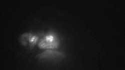 Parkoviště a hlavní vchod