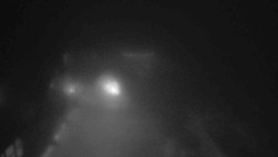 Parkoviště a hlavní vchod