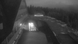 Parkoviště a hlavní vchod