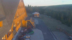 Parkoviště a hlavní vchod