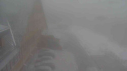 Parkoviště a hlavní vchod