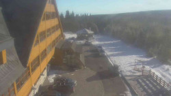 Parkoviště a hlavní vchod