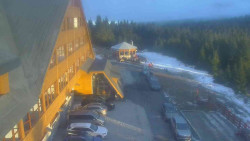 Parkoviště a hlavní vchod