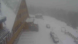 Parkoviště a hlavní vchod