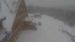 Parkoviště a hlavní vchod