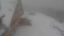 Parkoviště a hlavní vchod