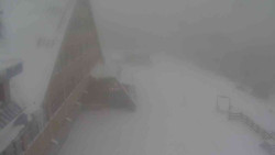 Parkoviště a hlavní vchod