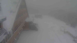 Parkoviště a hlavní vchod