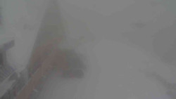 Parkoviště a hlavní vchod