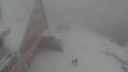 Parkoviště a hlavní vchod