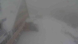 Parkoviště a hlavní vchod