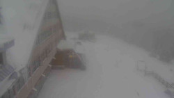 Parkoviště a hlavní vchod