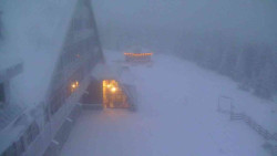 Parkoviště a hlavní vchod