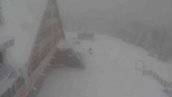 Parkoviště a hlavní vchod