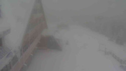 Parkoviště a hlavní vchod