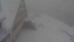 Parkoviště a hlavní vchod