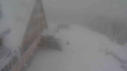 Parkoviště a hlavní vchod