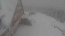 Parkoviště a hlavní vchod